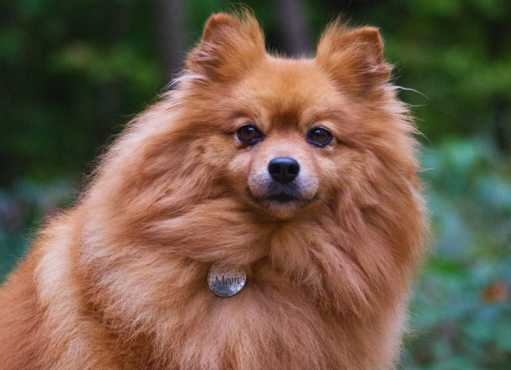 3f3a0181-730a-4cb5-a79a-19ee98121004