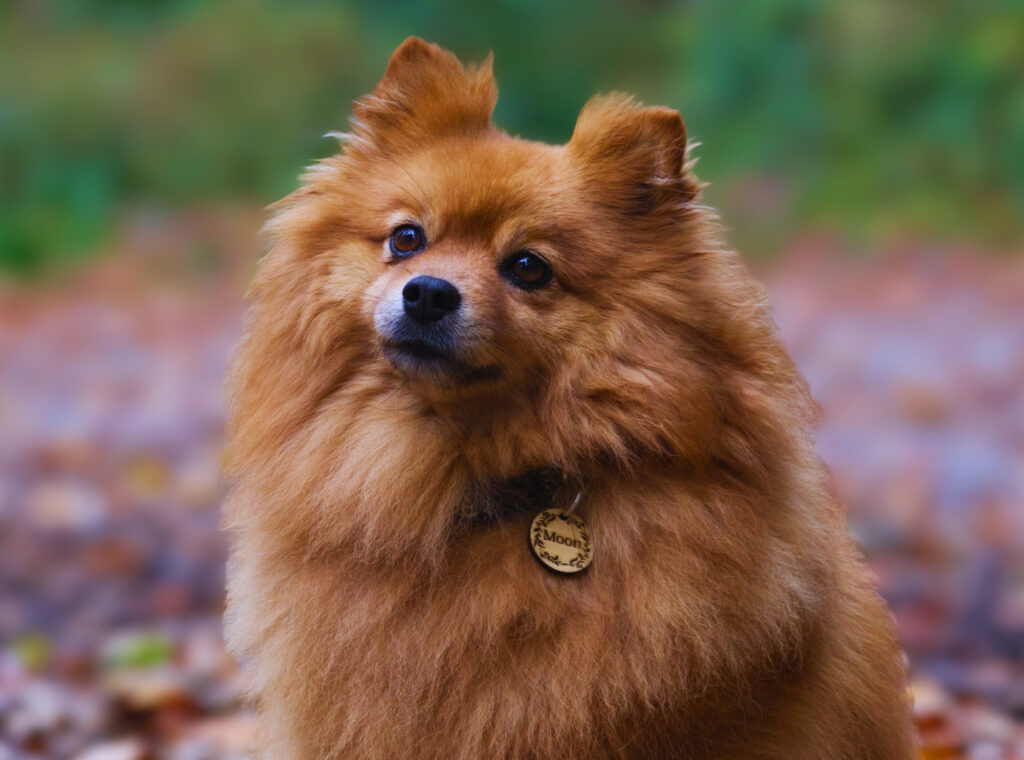 700f74bb-5e86-4e86-badc-5c9ece1dde6e