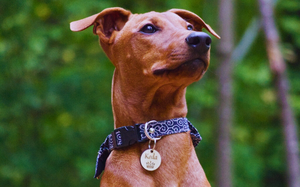 b00be936-76a3-4075-aaff-a4076975b525